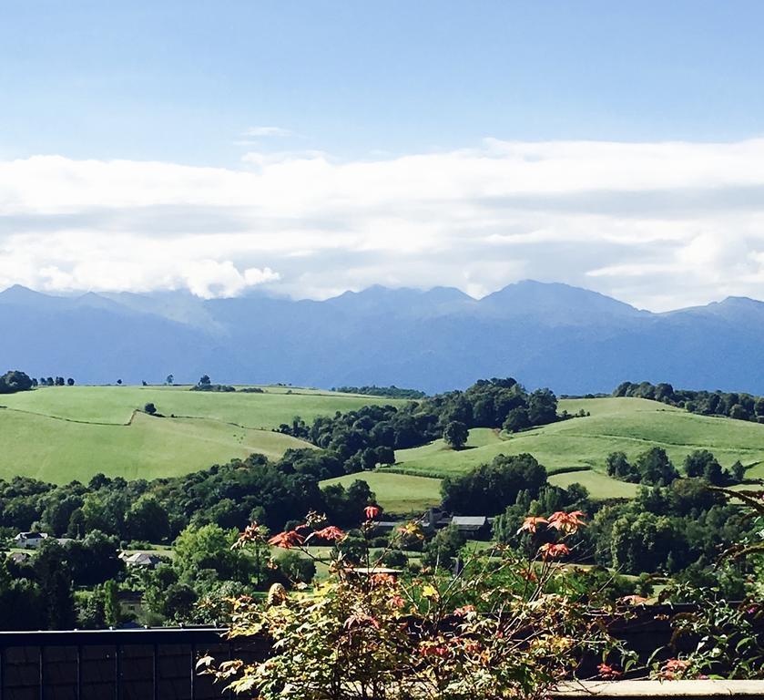 Les Gites De La Maison Bleue D'Estialescq Kültér fotó