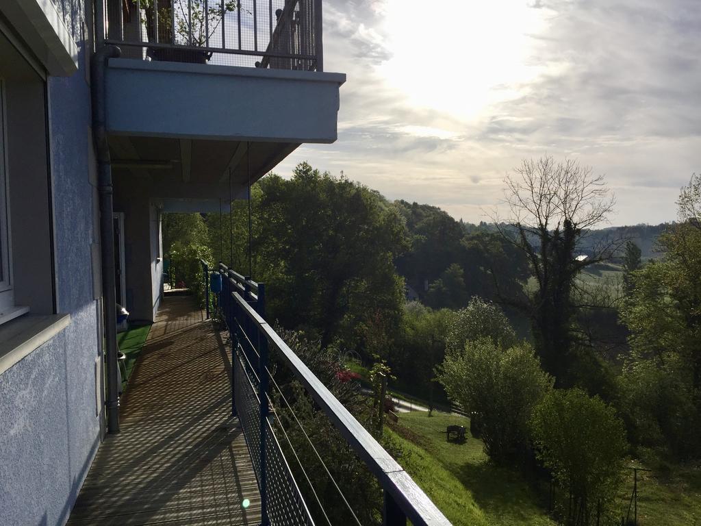 Les Gites De La Maison Bleue D'Estialescq Kültér fotó
