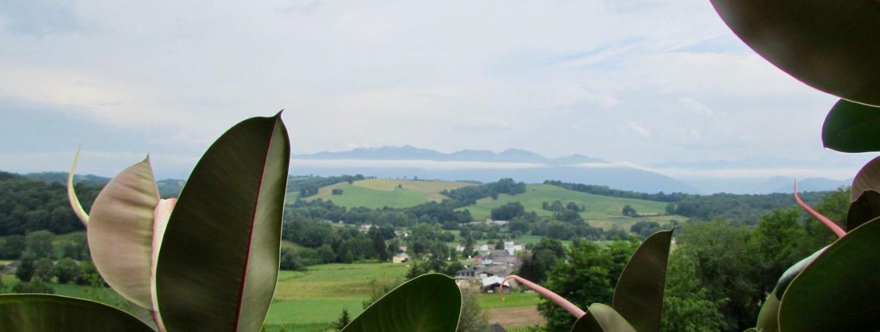 Les Gites De La Maison Bleue D'Estialescq Kültér fotó